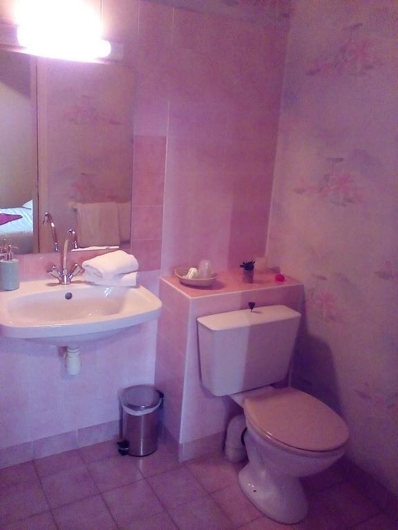 Le Relais De La Caleche Hotell Saint-Denis-dʼAnjou Eksteriør bilde